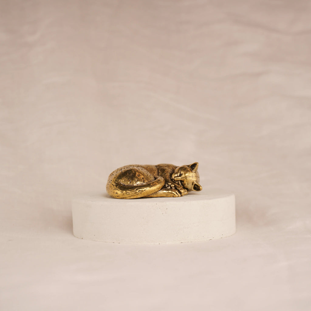 Cat Nap