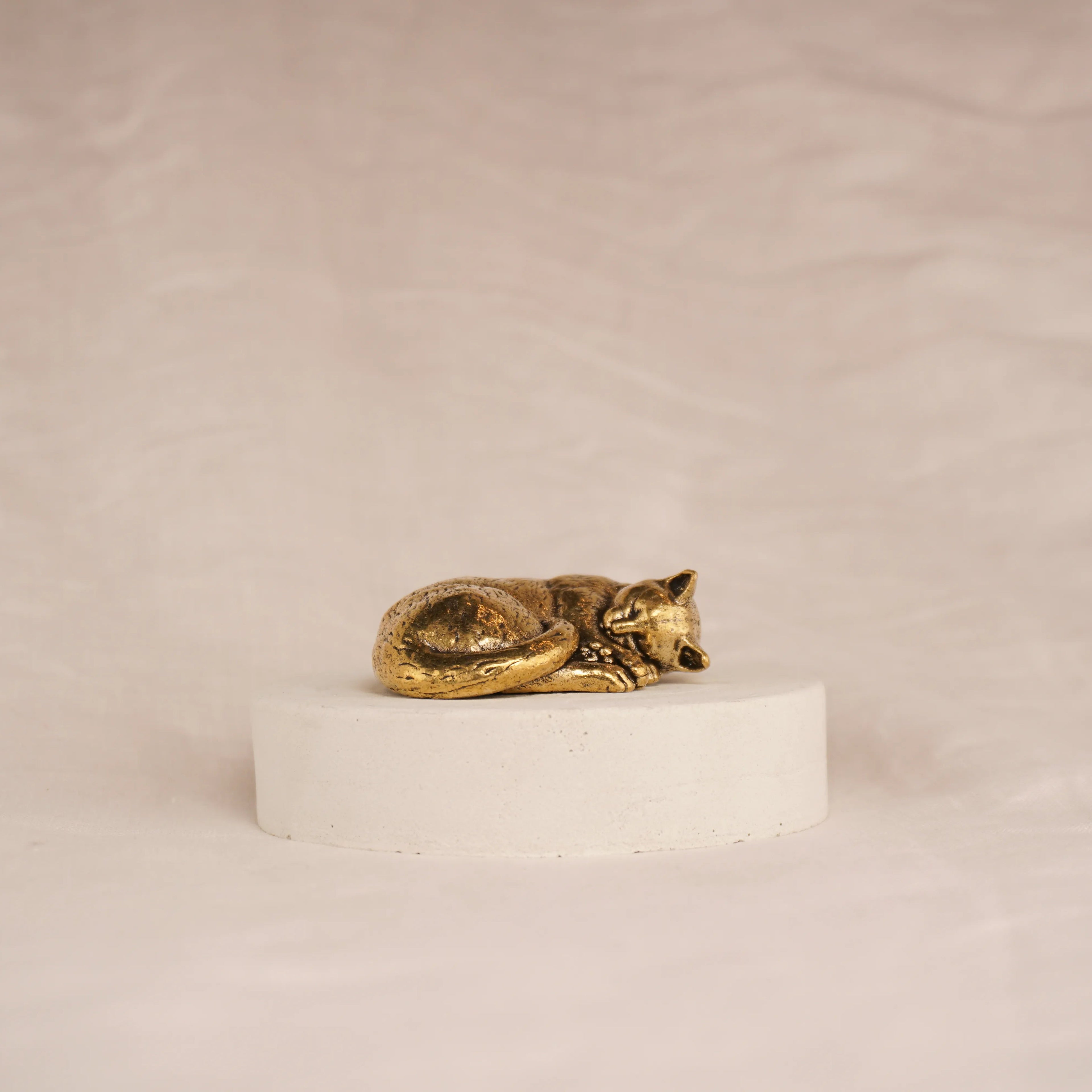 Cat Nap