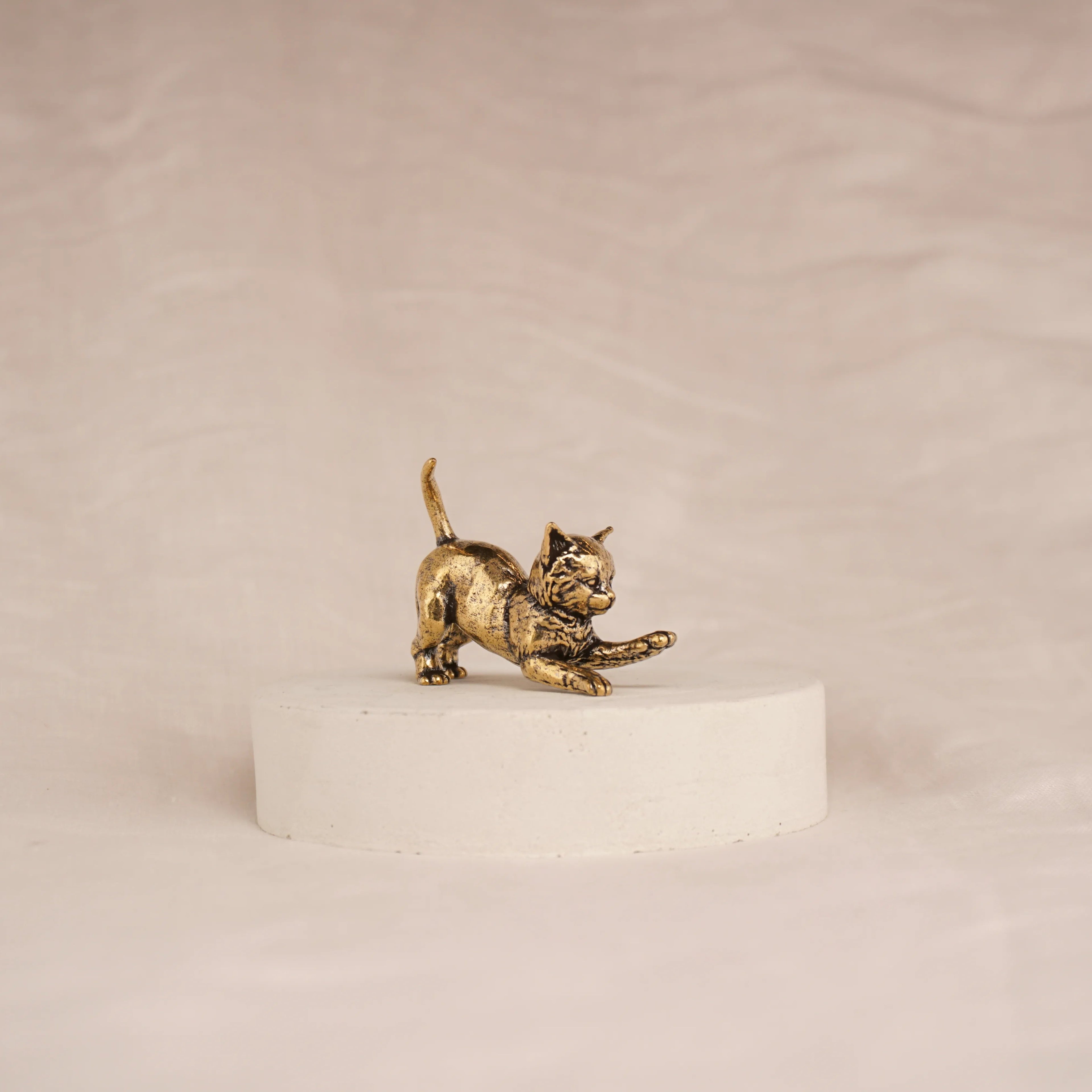 Curious Kitten