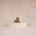 Poise Kitten