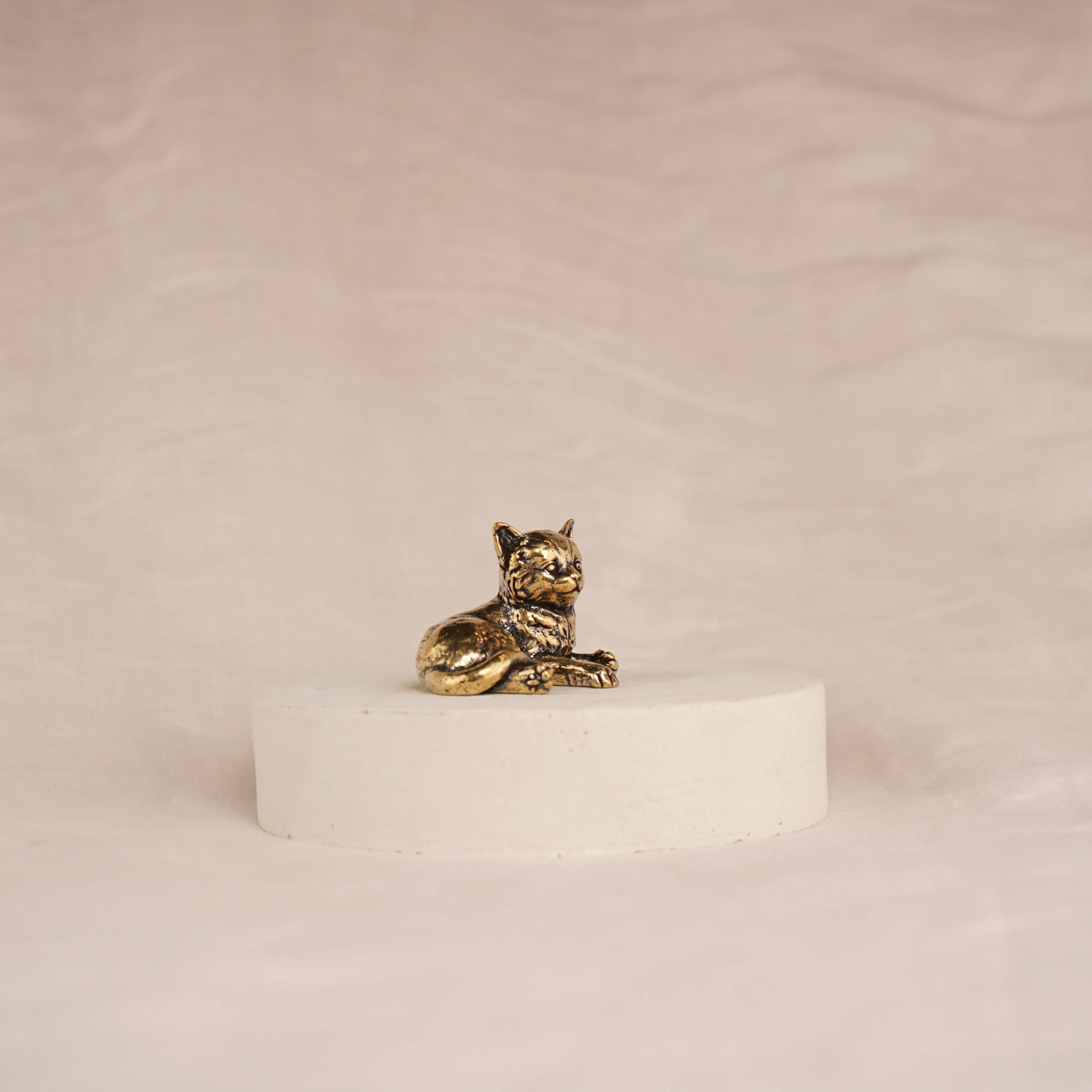 Poise Kitten