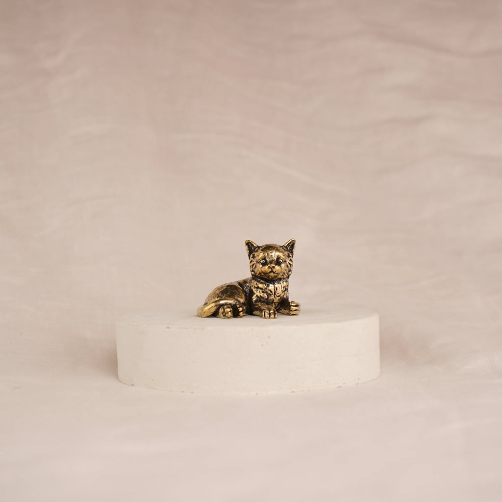 Poise Kitten
