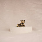 Poise Kitten