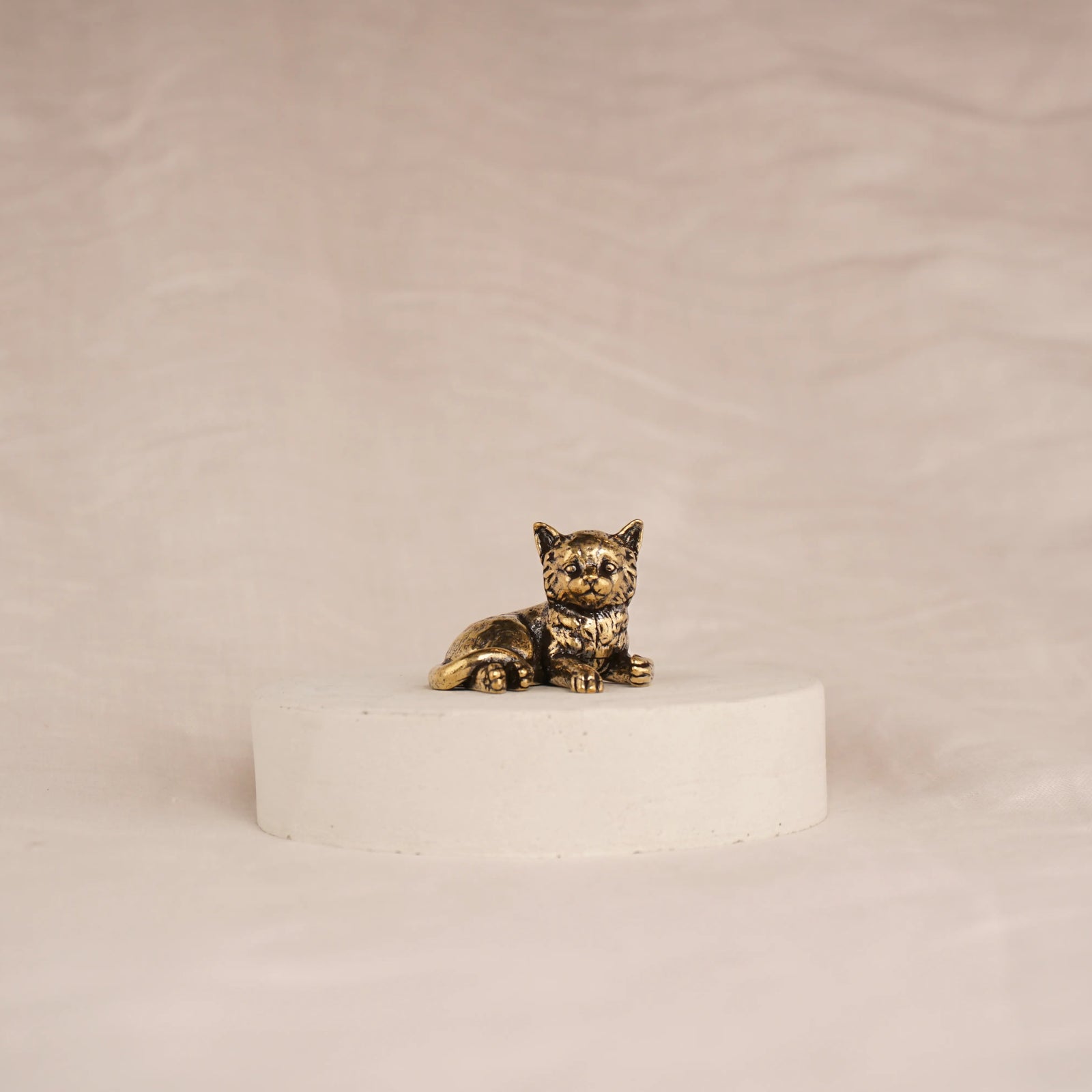 Poise Kitten