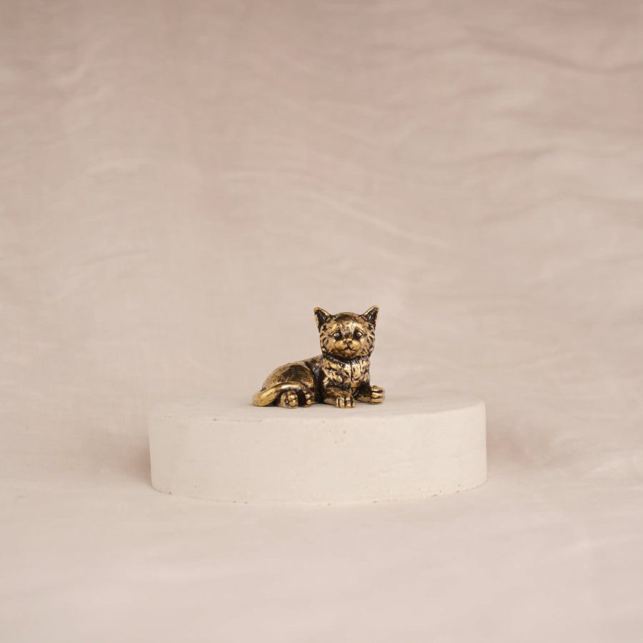 Poise Kitten
