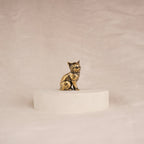 Regal Kitten