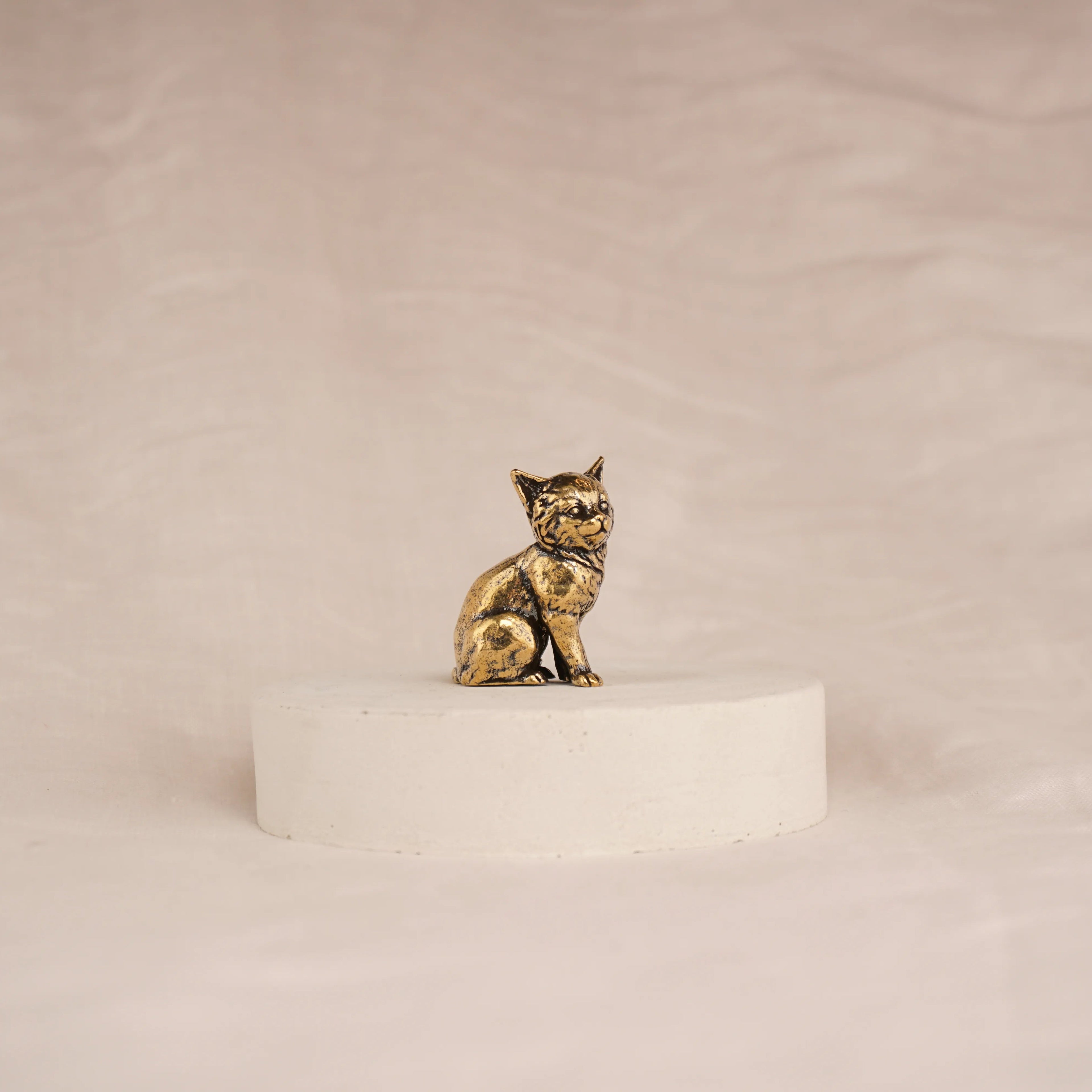 Regal Kitten