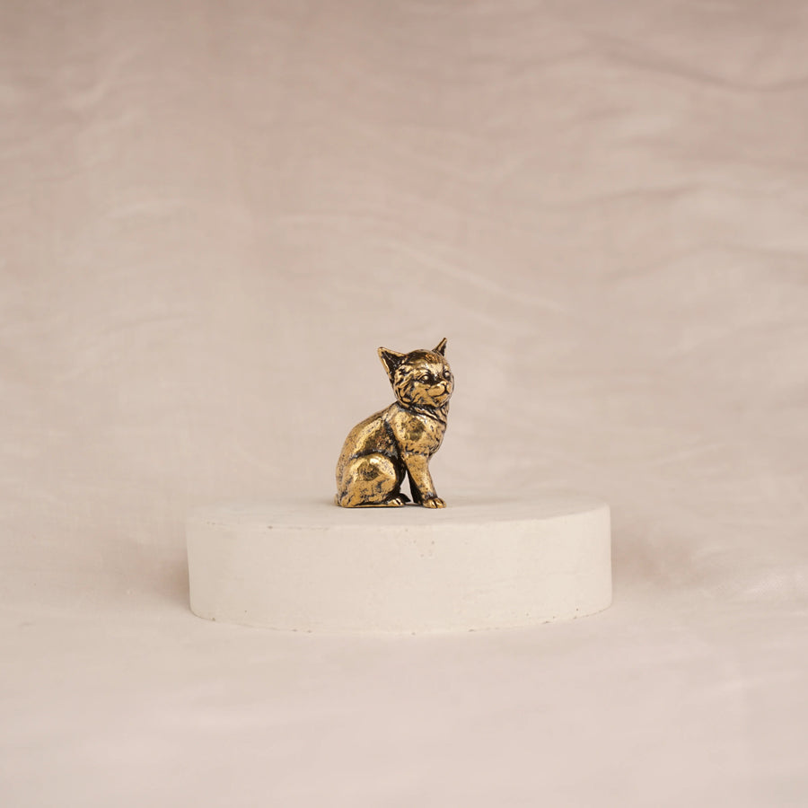Regal Kitten
