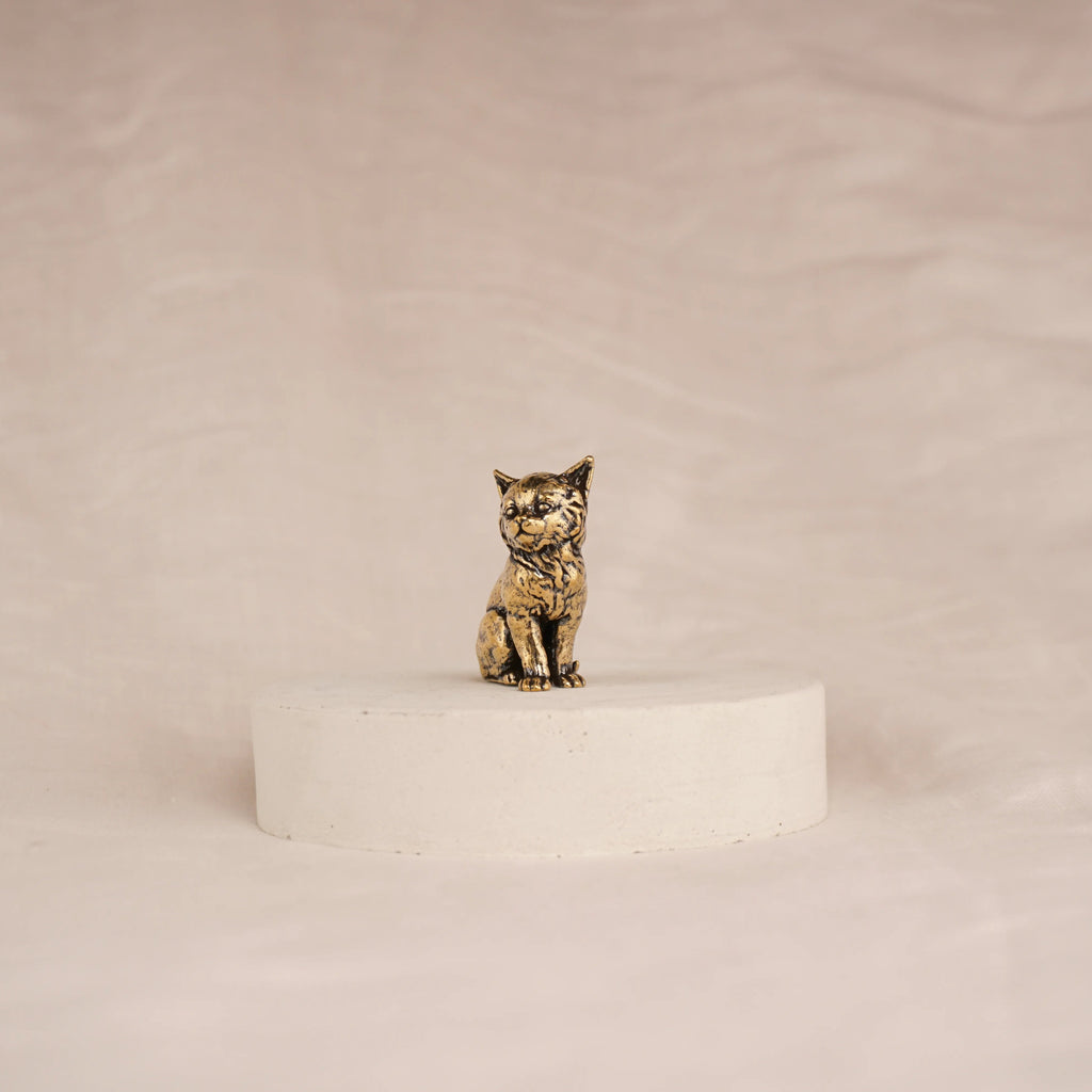 Regal Kitten