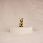 Regal Kitten