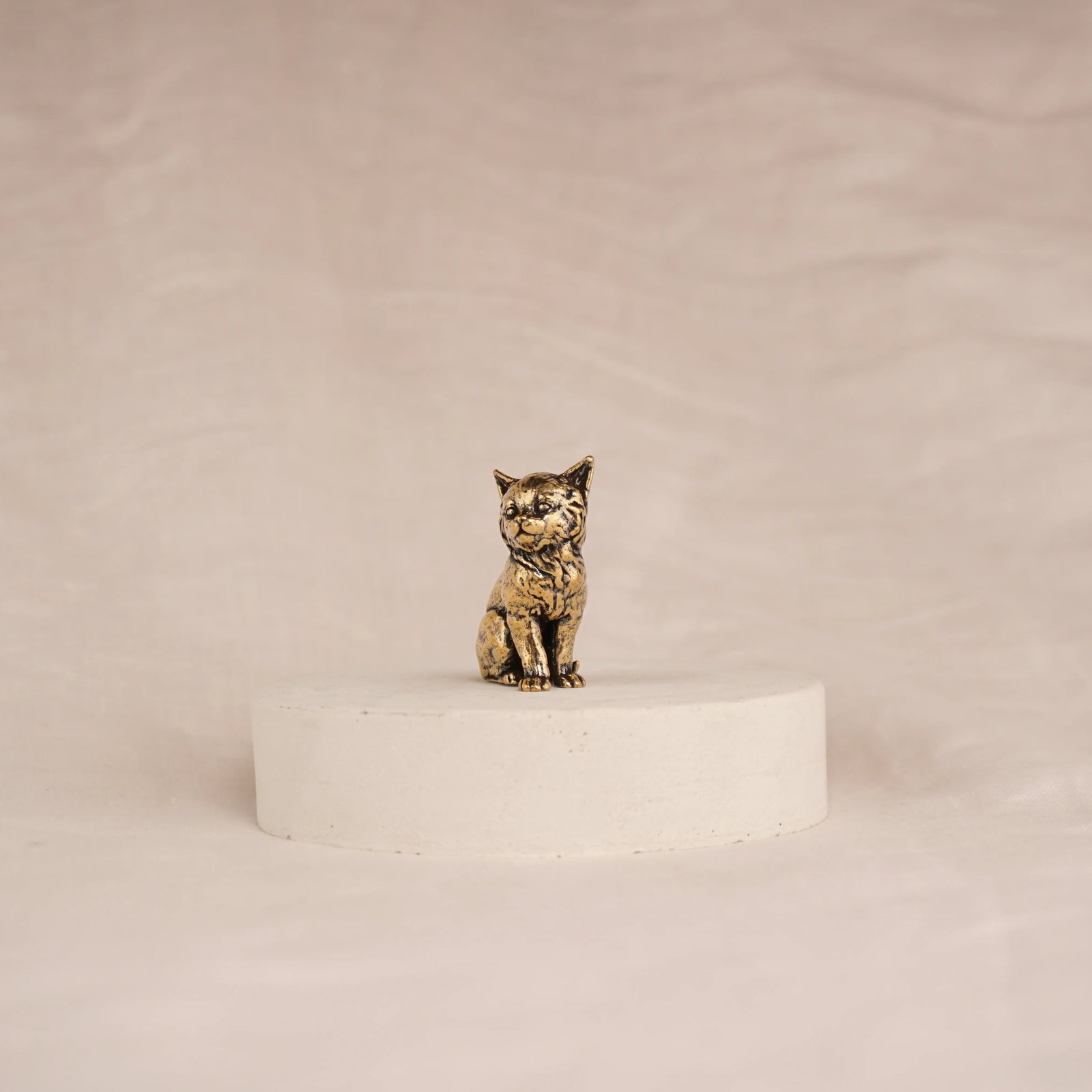 Regal Kitten