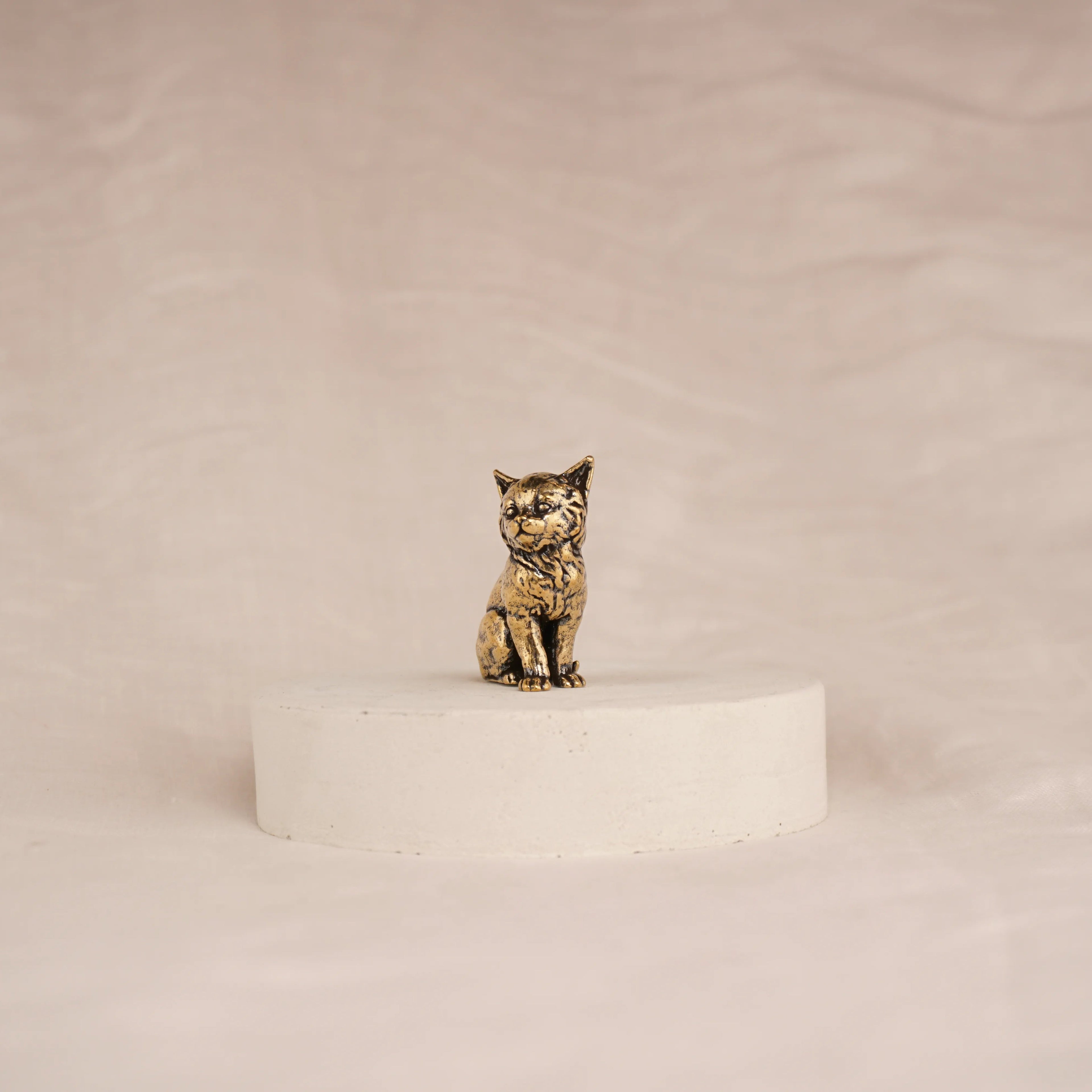 Regal Kitten