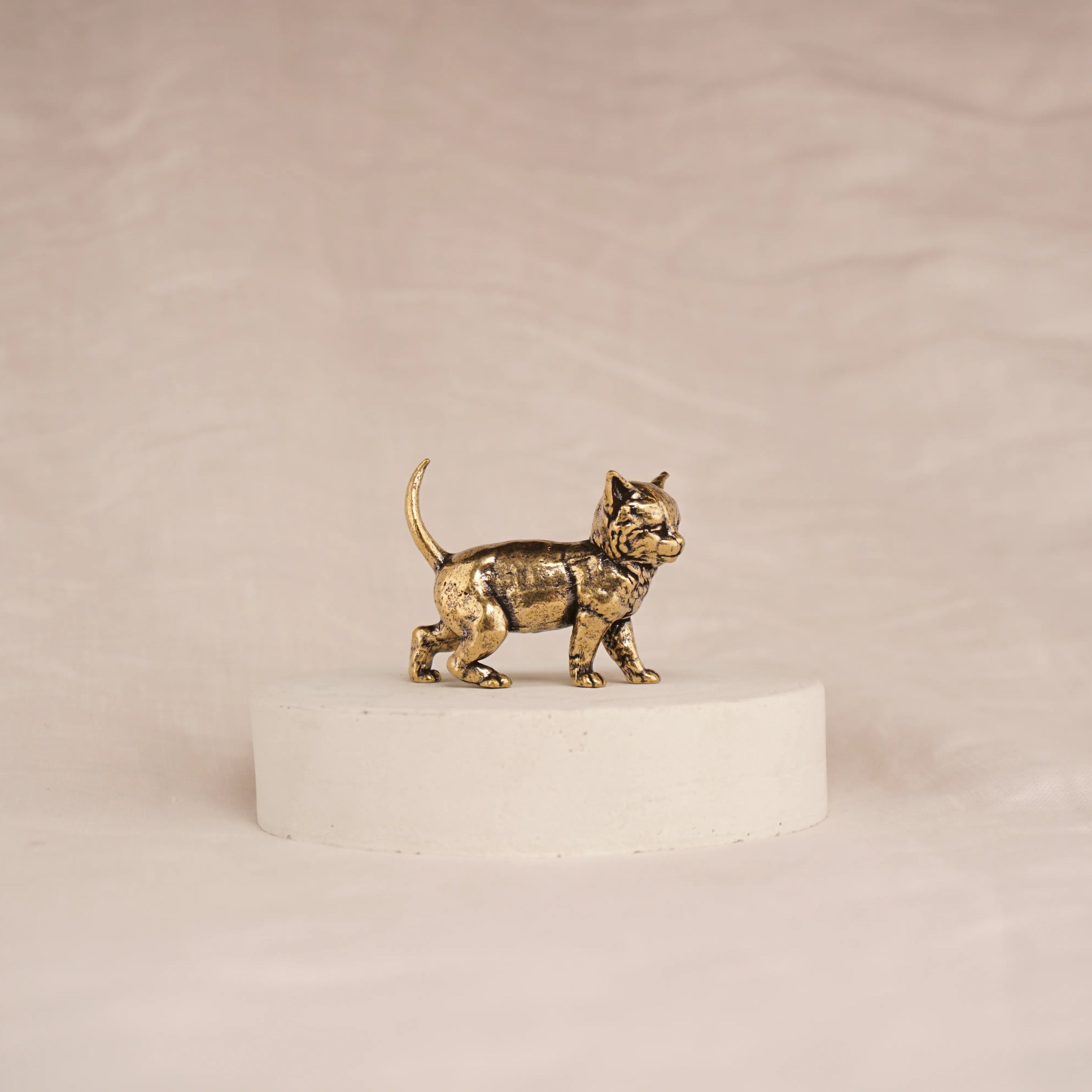 Scout Kitten