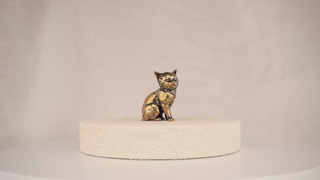 Regal Kitten