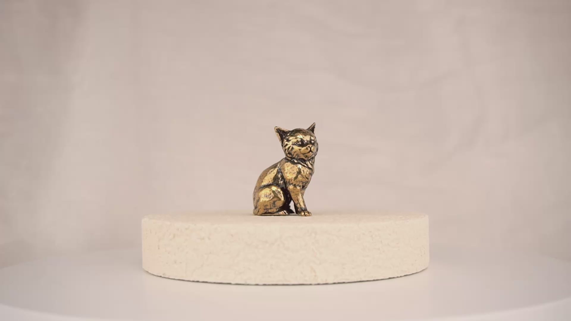 Regal Kitten