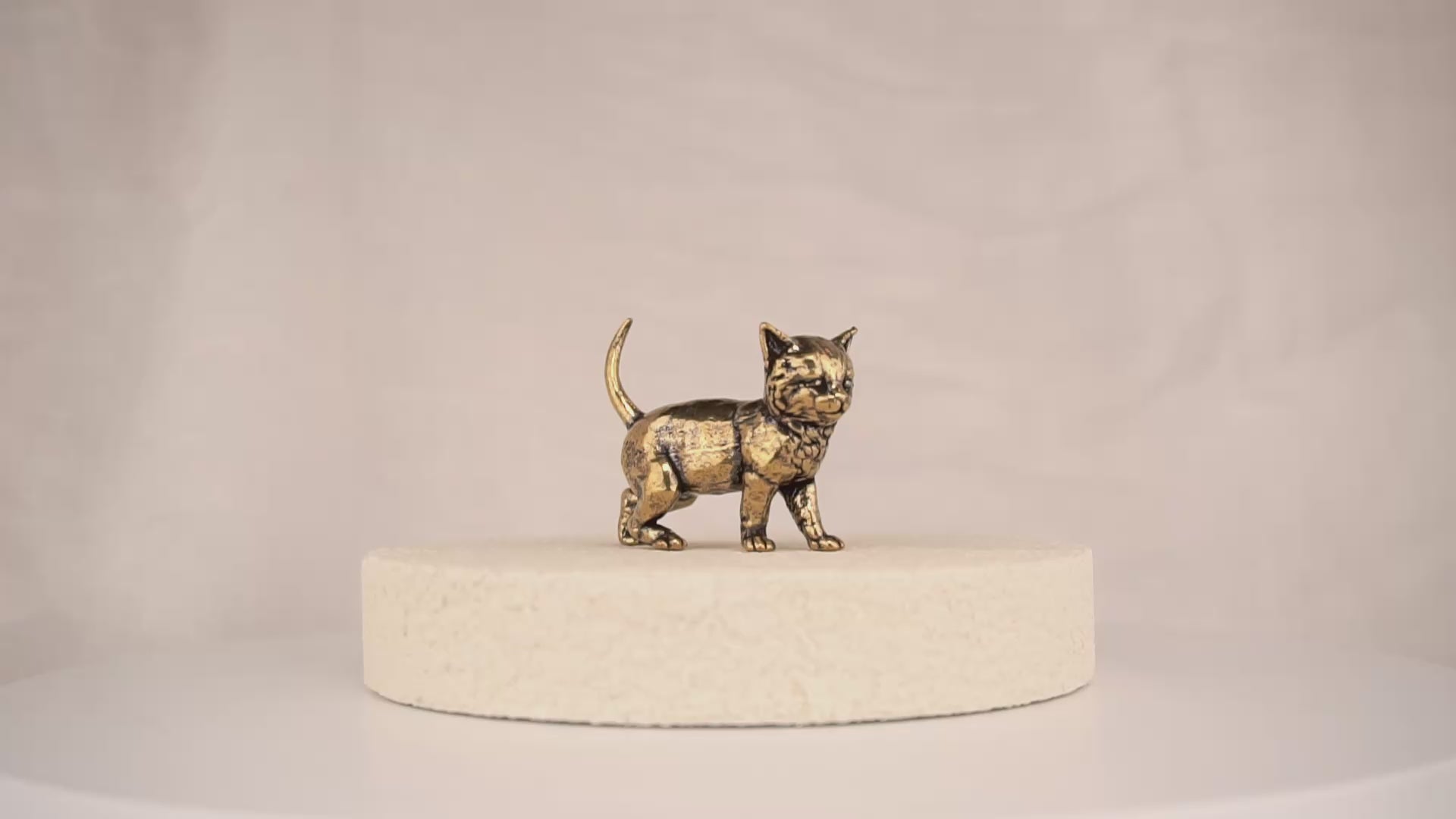 Scout Kitten