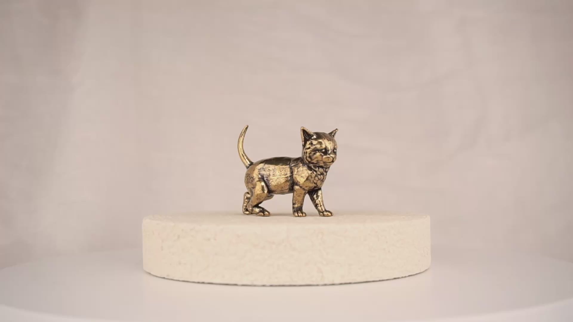 Scout Kitten