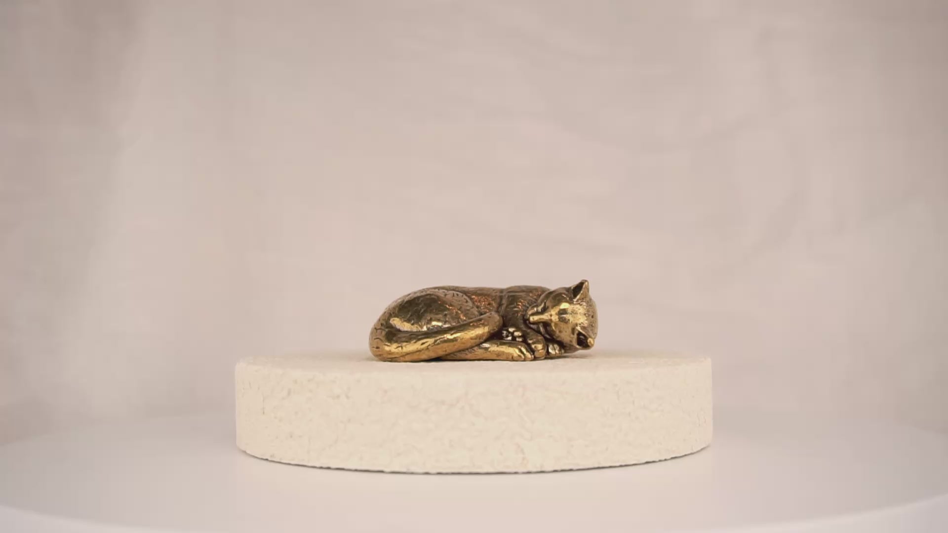 Cat Nap