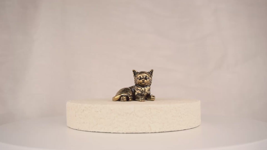 Poise Kitten