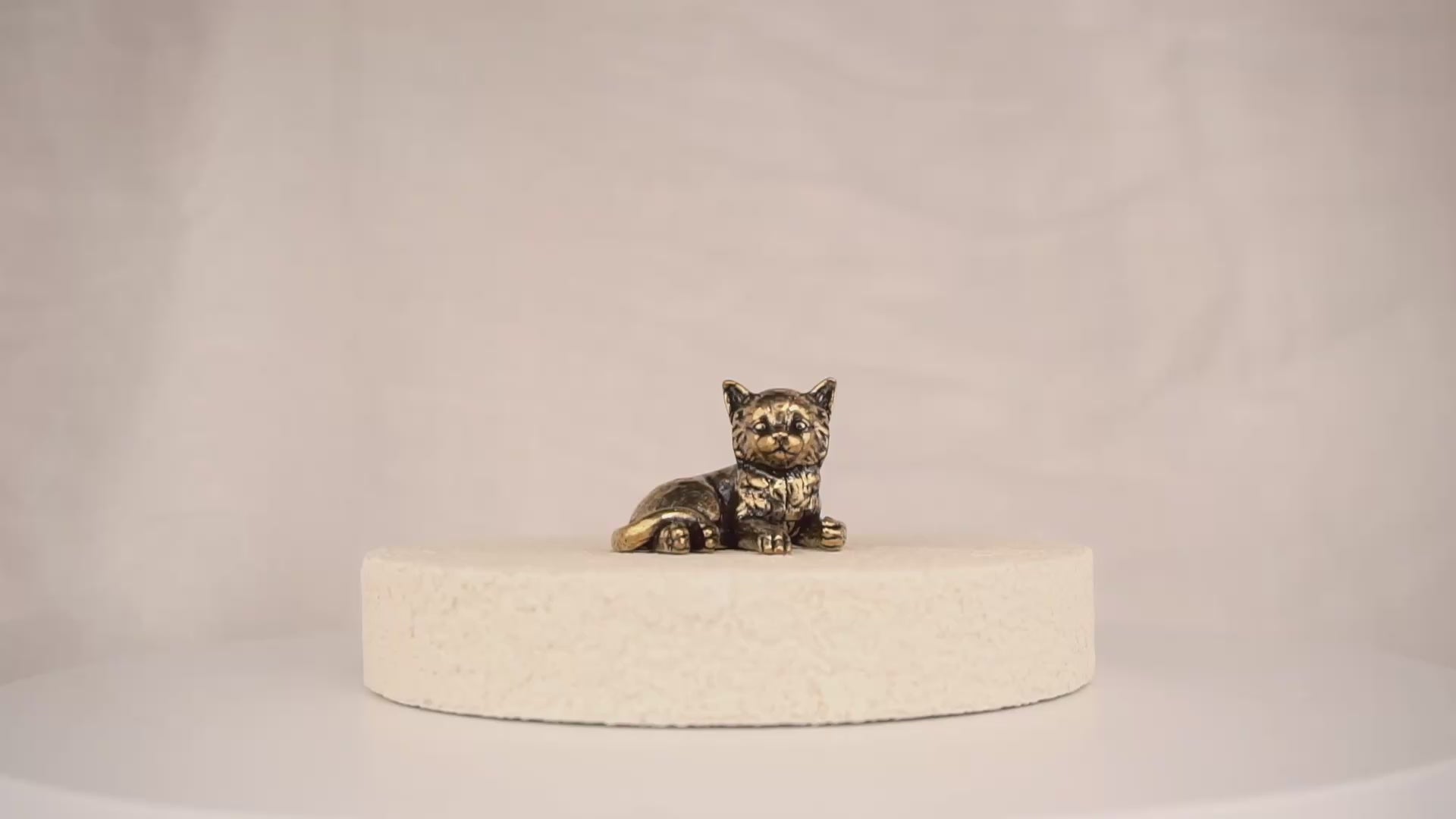 Poise Kitten