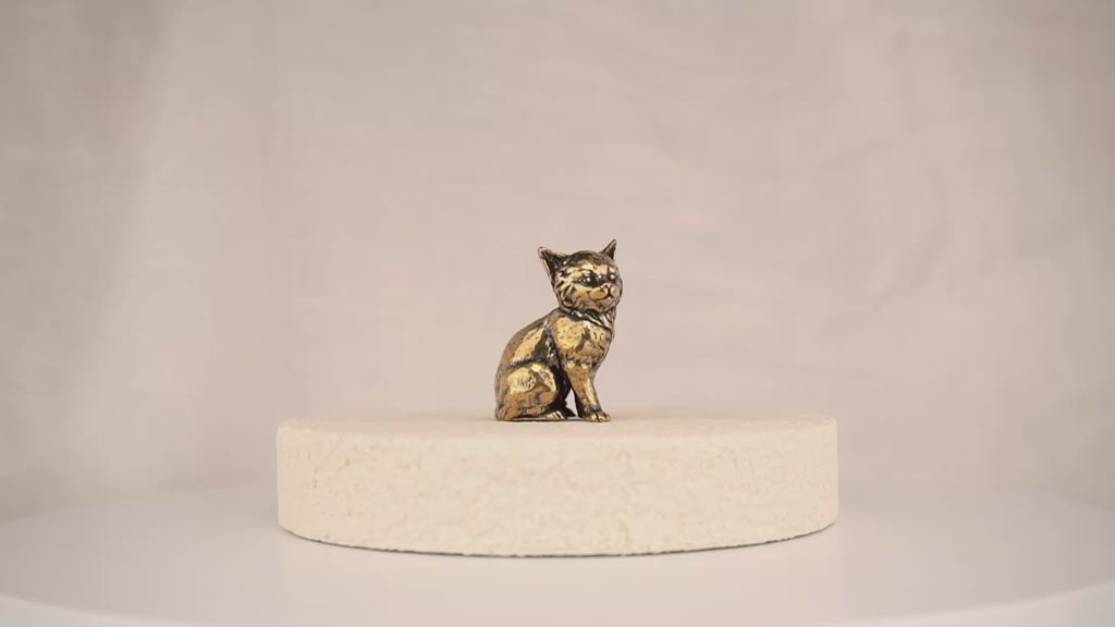 Regal Kitten