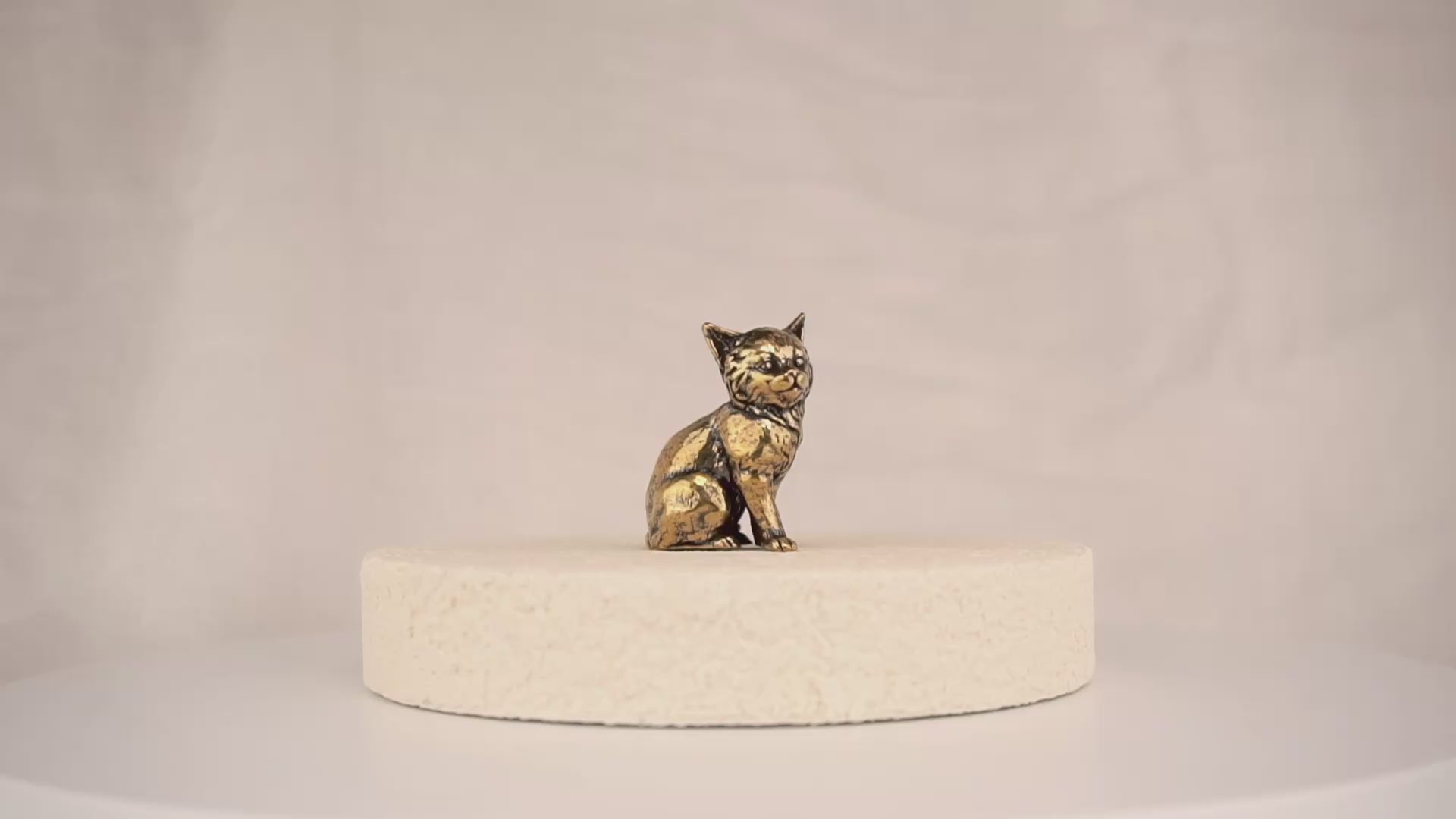 Regal Kitten