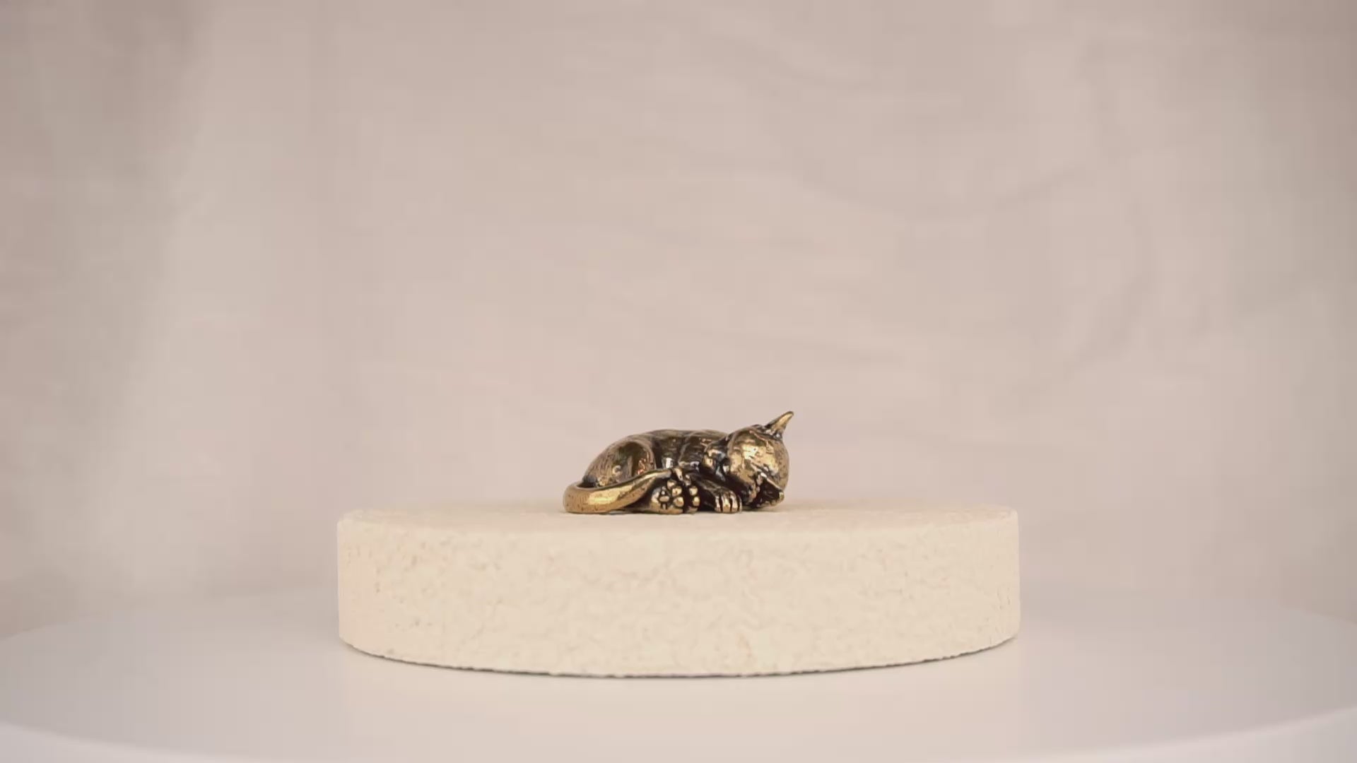 Cat Nap Kitten