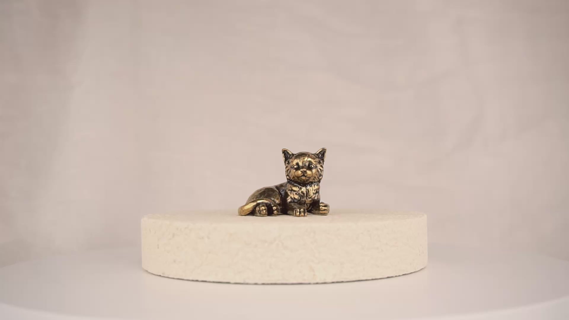 Poise Kitten
