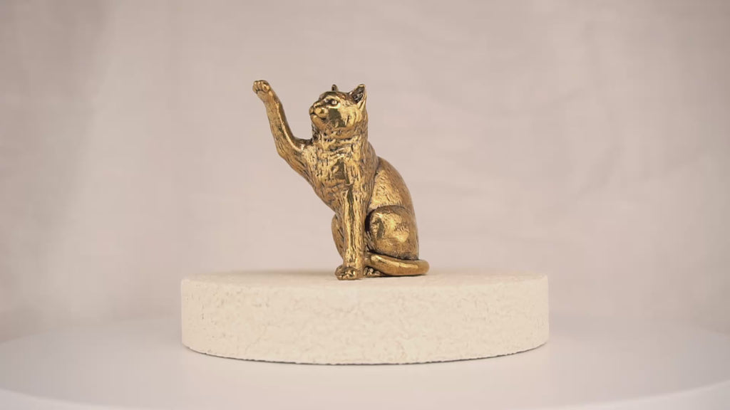 Curious